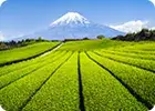 東海エリア